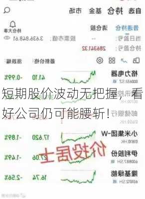 短期股价波动无把握，看好公司仍可能腰斩！