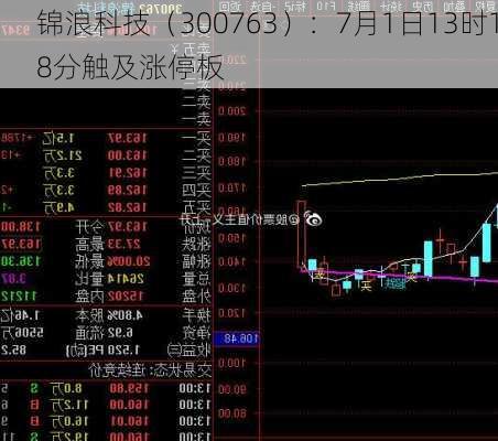 锦浪科技（300763）：7月1日13时18分触及涨停板