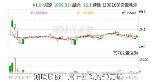 溯联股份：累计回购约53万股