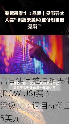 富国集团维持陶氏化学(DOW.US)买入评级，下调目标价至65美元