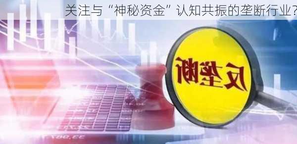 关注与“神秘资金”认知共振的垄断行业？