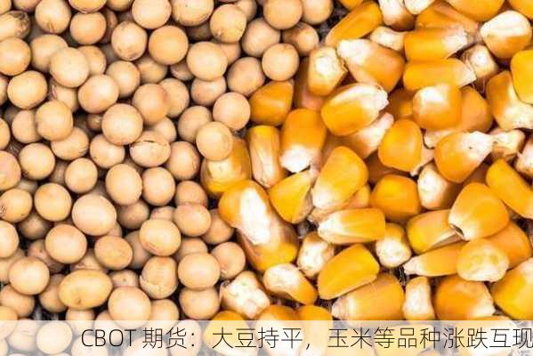 CBOT 期货：大豆持平，玉米等品种涨跌互现