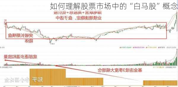如何理解股票市场中的“白马股”概念