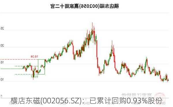 横店东磁(002056.SZ)：已累计回购0.93%股份