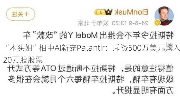 “木头姐”相中AI新宠Palantir：斥资500万美元购入20万股股票