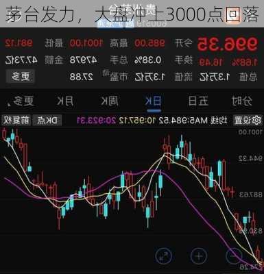 茅台发力，大盘冲上3000点回落