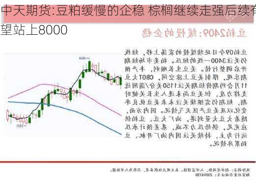 中天期货:豆粕缓慢的企稳 棕榈继续走强后续有望站上8000