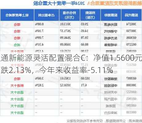 融通新能源灵活配置混合C：净值1.5600元下跌2.13%，今年来收益率-5.11%