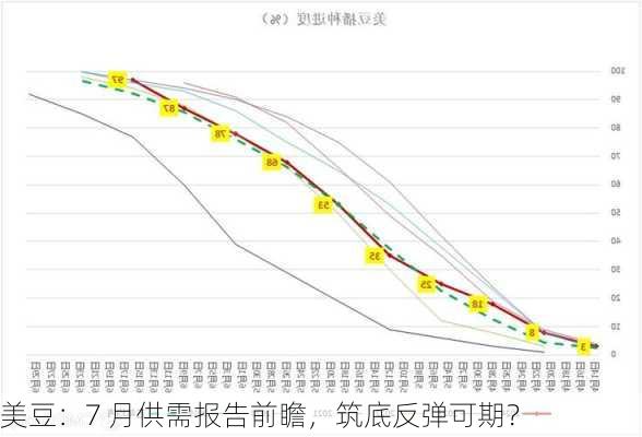 美豆：7 月供需报告前瞻，筑底反弹可期？