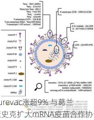 Curevac涨超9% 与葛兰素史克扩大mRNA疫苗合作协议