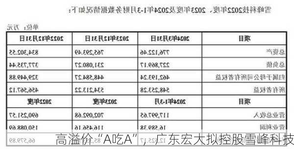 高溢价“A吃A”，广东宏大拟控股雪峰科技