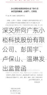 深交所向广东小崧科技股份有限公司、彭国宇、卢保山、温琳发出监管函