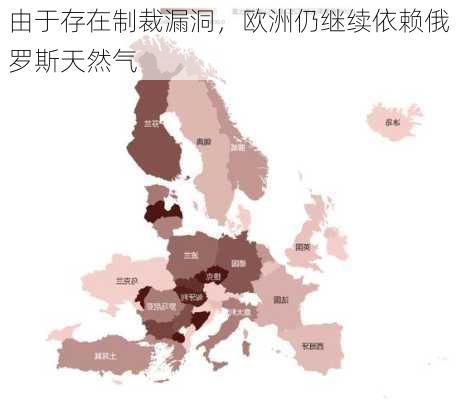 由于存在制裁漏洞，欧洲仍继续依赖俄罗斯天然气