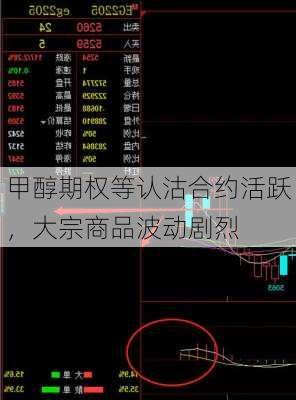 甲醇期权等认沽合约活跃，大宗商品波动剧烈