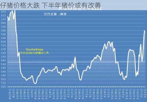 仔猪价格大跌 下半年猪价或有改善