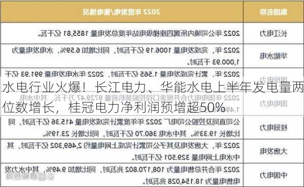 水电行业火爆！长江电力、华能水电上半年发电量两位数增长，桂冠电力净利润预增超50%