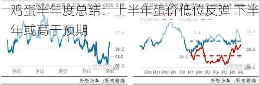 鸡蛋半年度总结：上半年蛋价低位反弹 下半年或高于预期