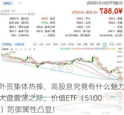 内外资集体热捧，高股息究竟有什么魅力？大盘震荡之际，价值ETF（510030）防御属性凸显！