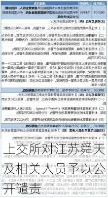 上交所对江苏舜天及相关人员予以公开谴责