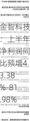 金智科技：上半年净利润同比预增43.38%-81.98%