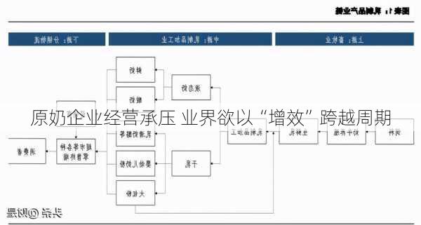 原奶企业经营承压 业界欲以“增效”跨越周期