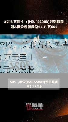 海航控股：关联方拟增持 6000 万元至 1.19 亿元 A 股股份