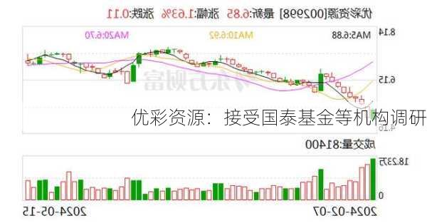 优彩资源：接受国泰基金等机构调研