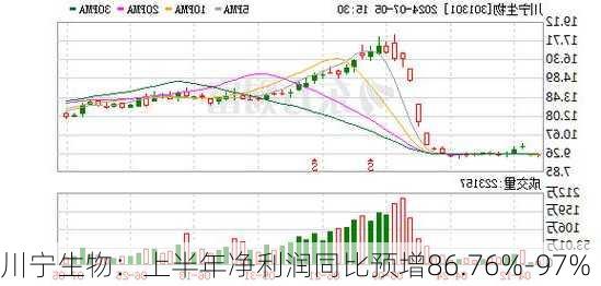 川宁生物：上半年净利润同比预增86.76%-97%