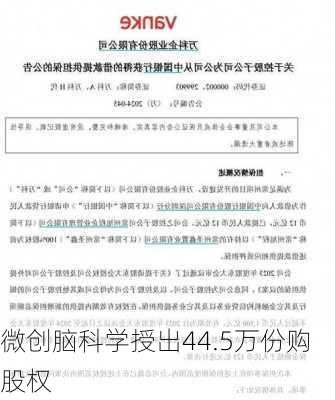 微创脑科学授出44.5万份购股权