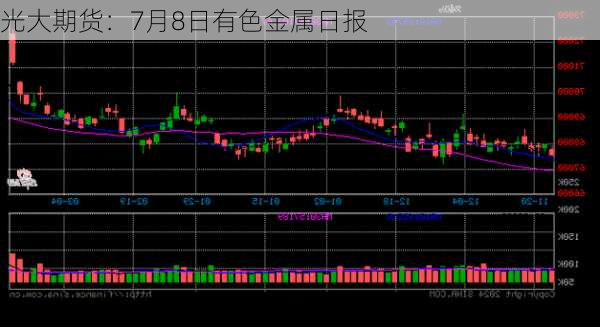 光大期货：7月8日有色金属日报