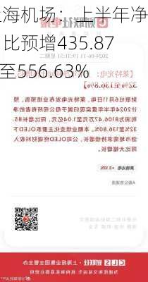 上海机场：上半年净利同比预增435.87%至556.63%