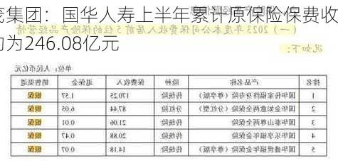 天茂集团：国华人寿上半年累计原保险保费收入约为246.08亿元