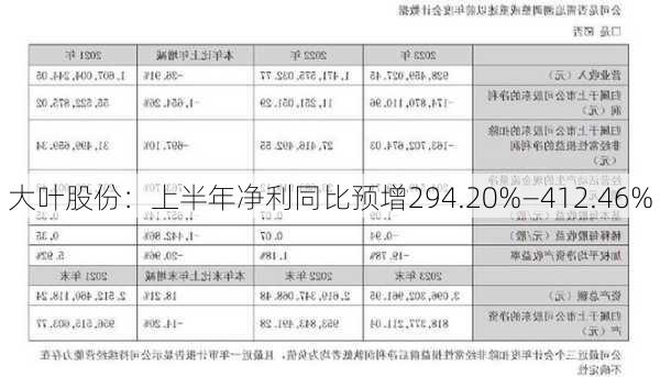 大叶股份：上半年净利同比预增294.20%―412.46%