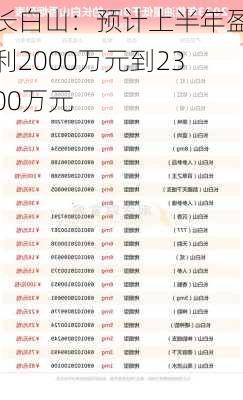 长白山：预计上半年盈利2000万元到2300万元