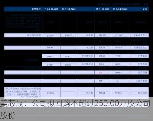 美芯晟：公司拟回购不超过250.00万股公司股份
