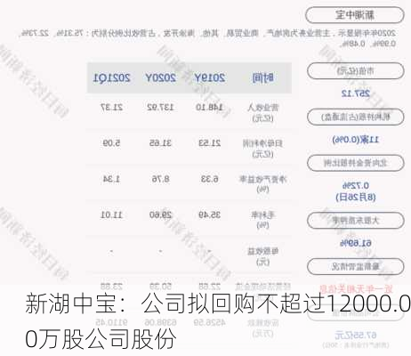 新湖中宝：公司拟回购不超过12000.00万股公司股份