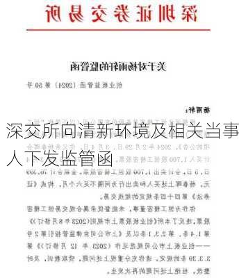 深交所向清新环境及相关当事人下发监管函