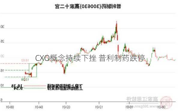 CXO概念持续下挫 普利制药跌停