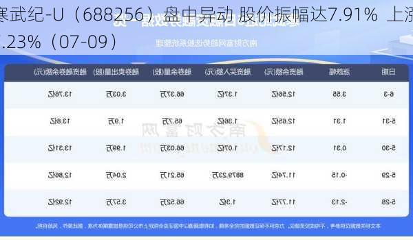 寒武纪-U（688256）盘中异动 股价振幅达7.91%  上涨7.23%（07-09）