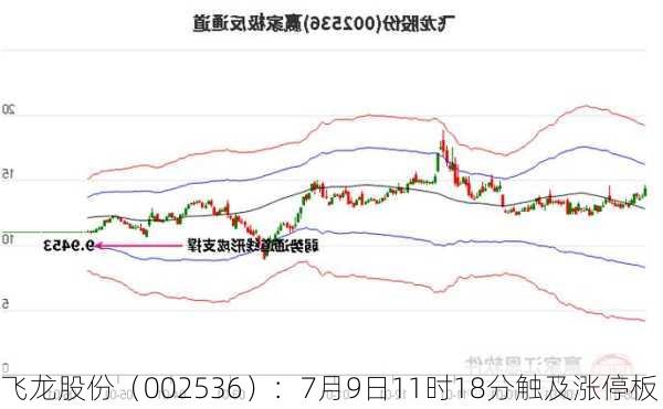 飞龙股份（002536）：7月9日11时18分触及涨停板