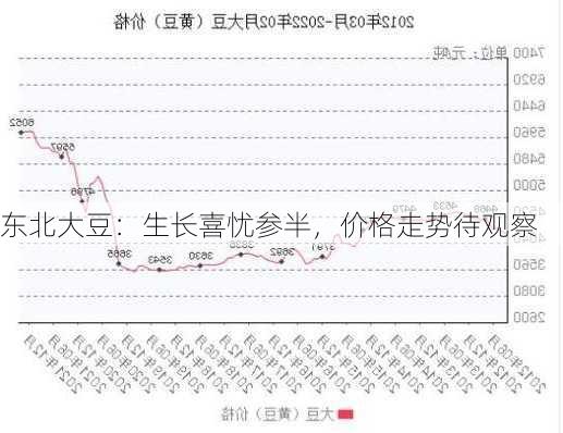 东北大豆：生长喜忧参半，价格走势待观察