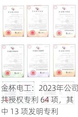 金杯电工：2023年公司共授权专利 64 项，其中 13 项发明专利