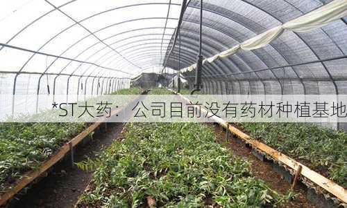 *ST大药：公司目前没有药材种植基地