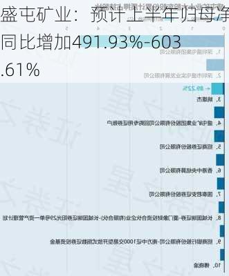 盛屯矿业：预计上半年归母净利润同比增加491.93%-603.61%