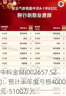 中科金财(002657.SZ)：预计半年度亏损4000万元-5100万元