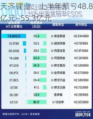 天齐锂业：上半年预亏48.8亿元―55.3亿元