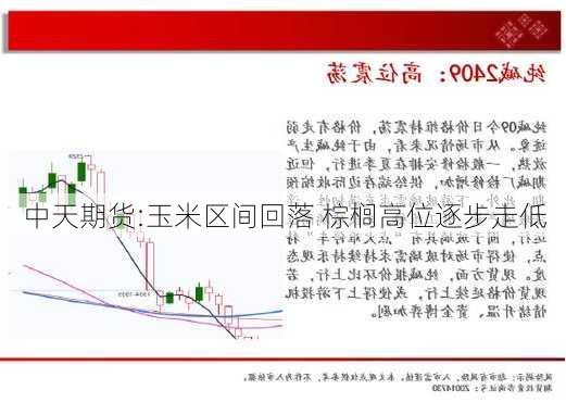 中天期货:玉米区间回落 棕榈高位逐步走低