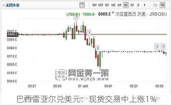 巴西雷亚尔兑美元：现货交易中上涨1%