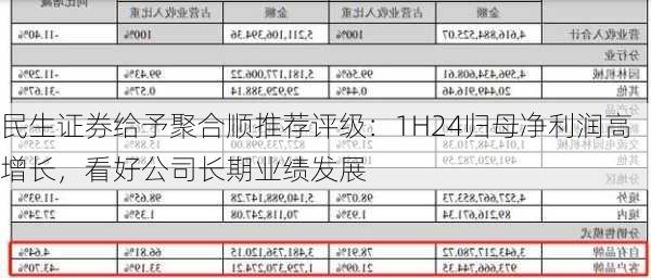 民生证券给予聚合顺推荐评级：1H24归母净利润高增长，看好公司长期业绩发展