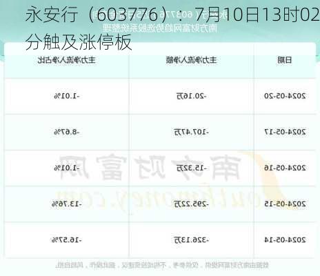 永安行（603776）：7月10日13时02分触及涨停板